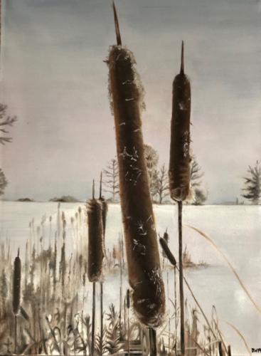 Cattails